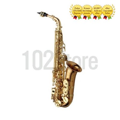 Yanagisawa A-WO20  Alto Saxophone + case - IN STOCK