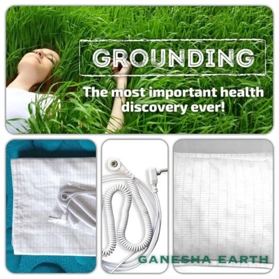 Organic Earthing / Grounding Sheet Pillow Case 30"x20" 📳SHIELD EMF RADIATION🛡