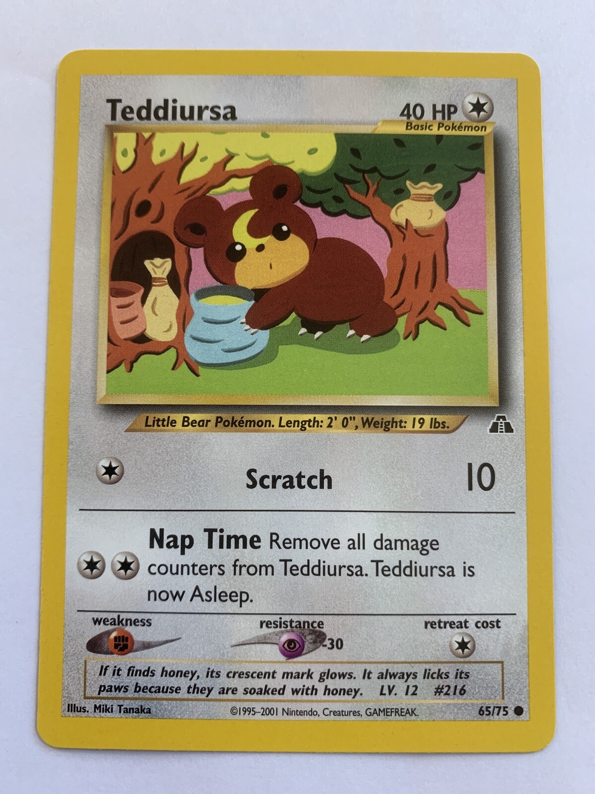 NM Teddiursa 65/75 Neo Discovery 1st EDITION Pokemon Card