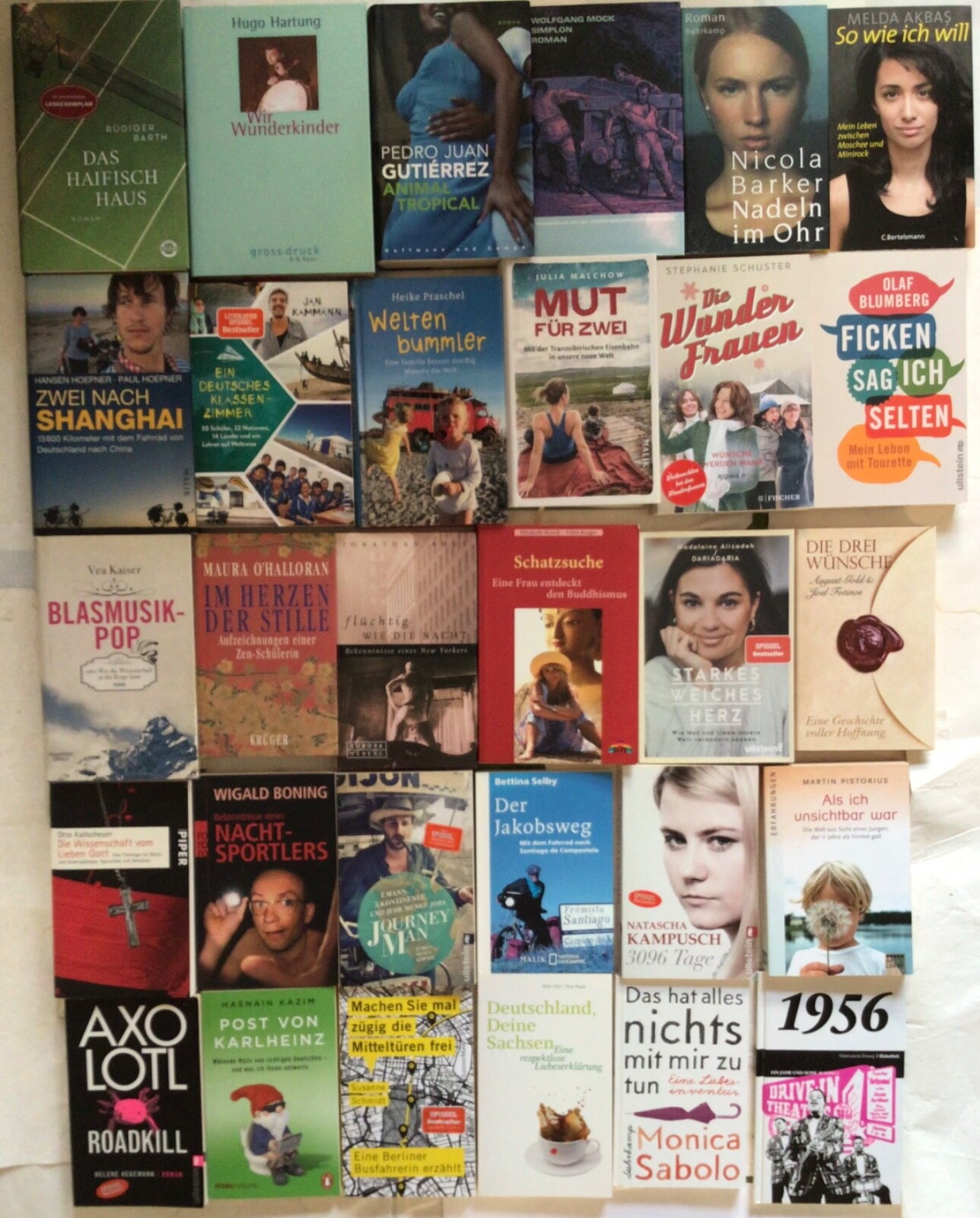 30 BücherPaket Sachbücher Gesellschaft Sammlung Der Jakobsweg Stephanie Schuster