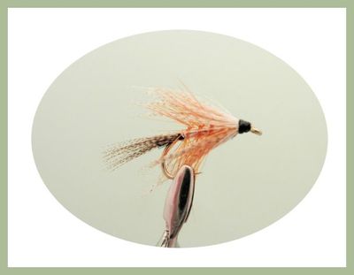 Gold Dabbler fishing flies loch flies wild brown trout - UK
