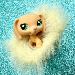 Petshop Teckel d’occason | Plus que 2 à -60