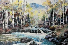 Original oil paintings on canvas Colorado Rocky Mountain Aspen Waterfall