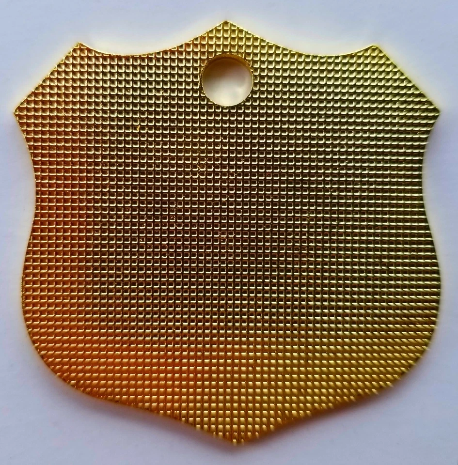 NEW 2025 FL BLUE LINE CAR SHIELD LICENSE PLATE PBA - Image 2 of 3