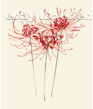 Chinese 100 real natural silk thread,su hand embroidery kits:flower 9"