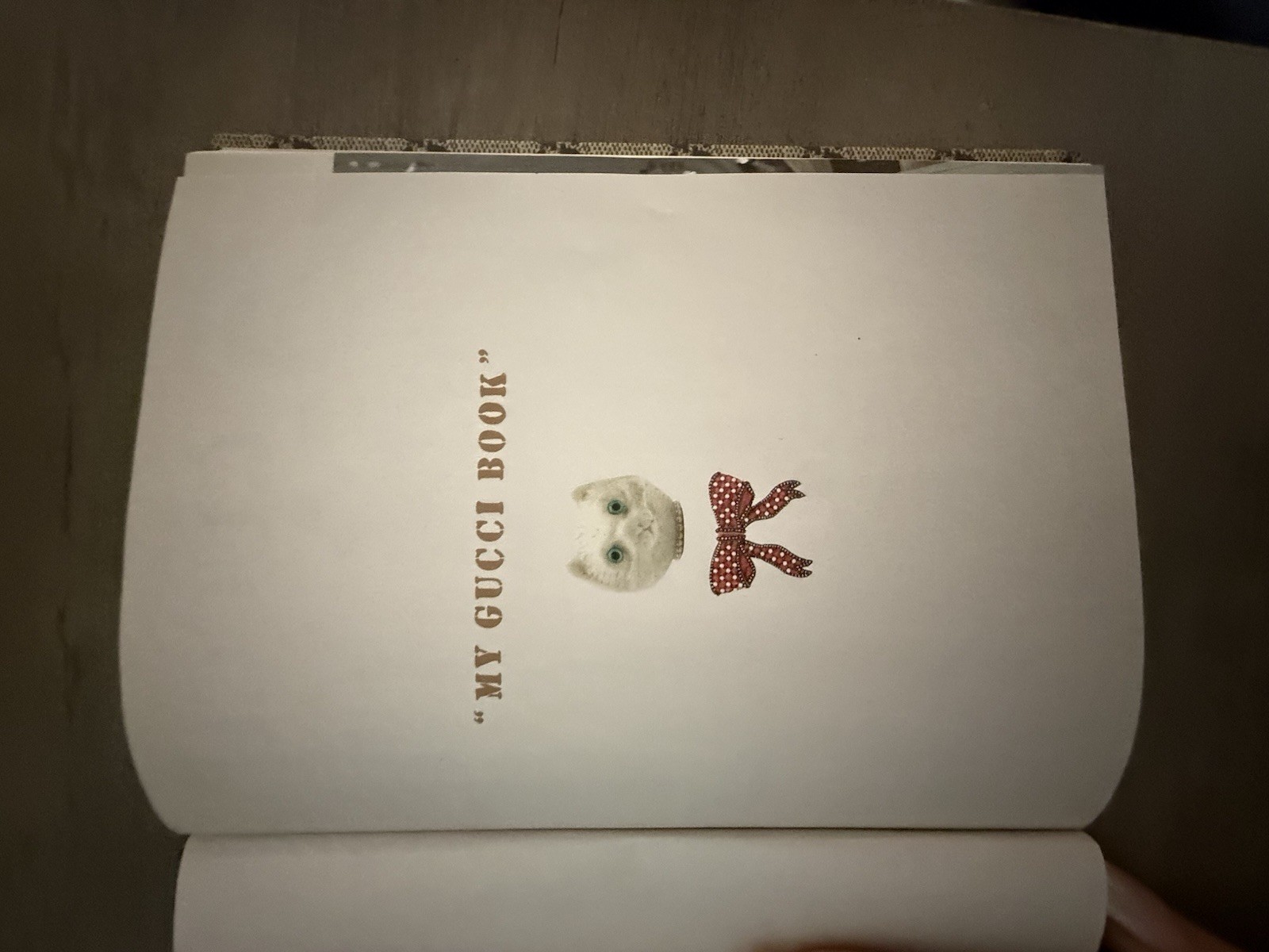 gucci notebook - image 9