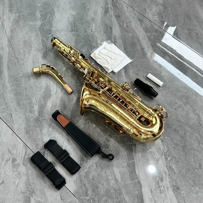 Professional - Standard Alto Drop E Saxophone in Golden End: Suitable for All Sk