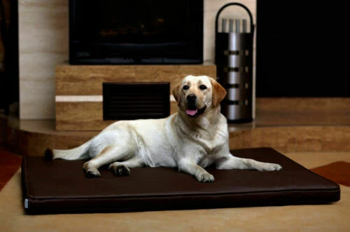 Lettini in ecopelle per cani