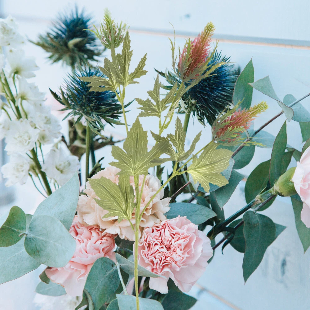 Breath Of The Wild Flowers Best Flower Site