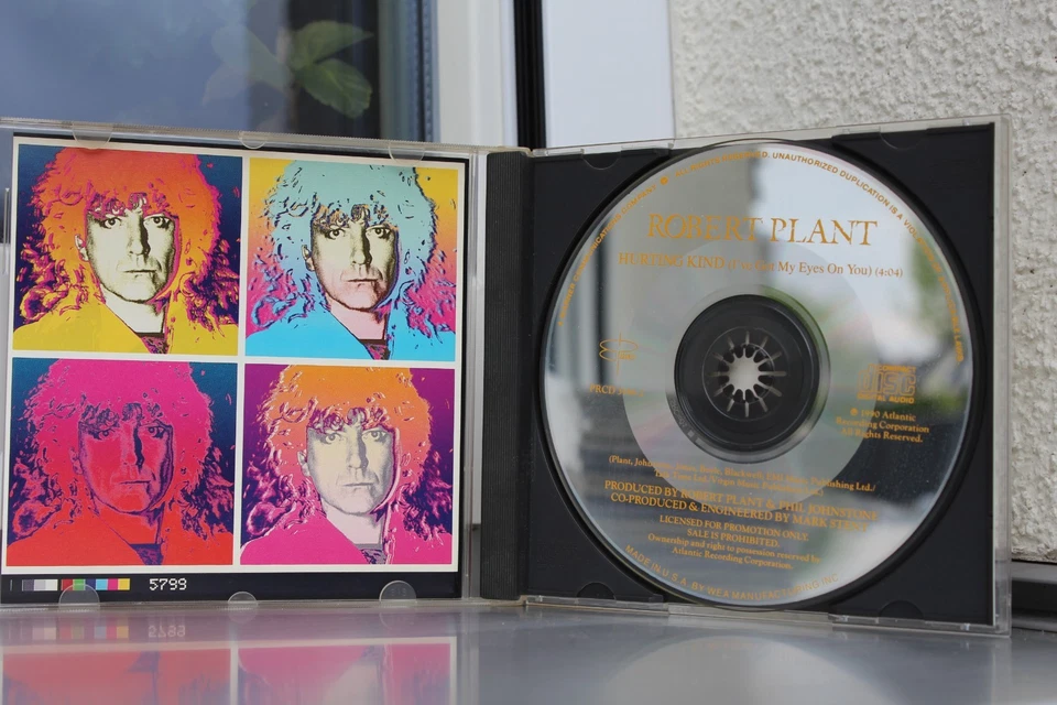 Robert Plant - Hurting kind (1 Track) - Bild 3 von 3