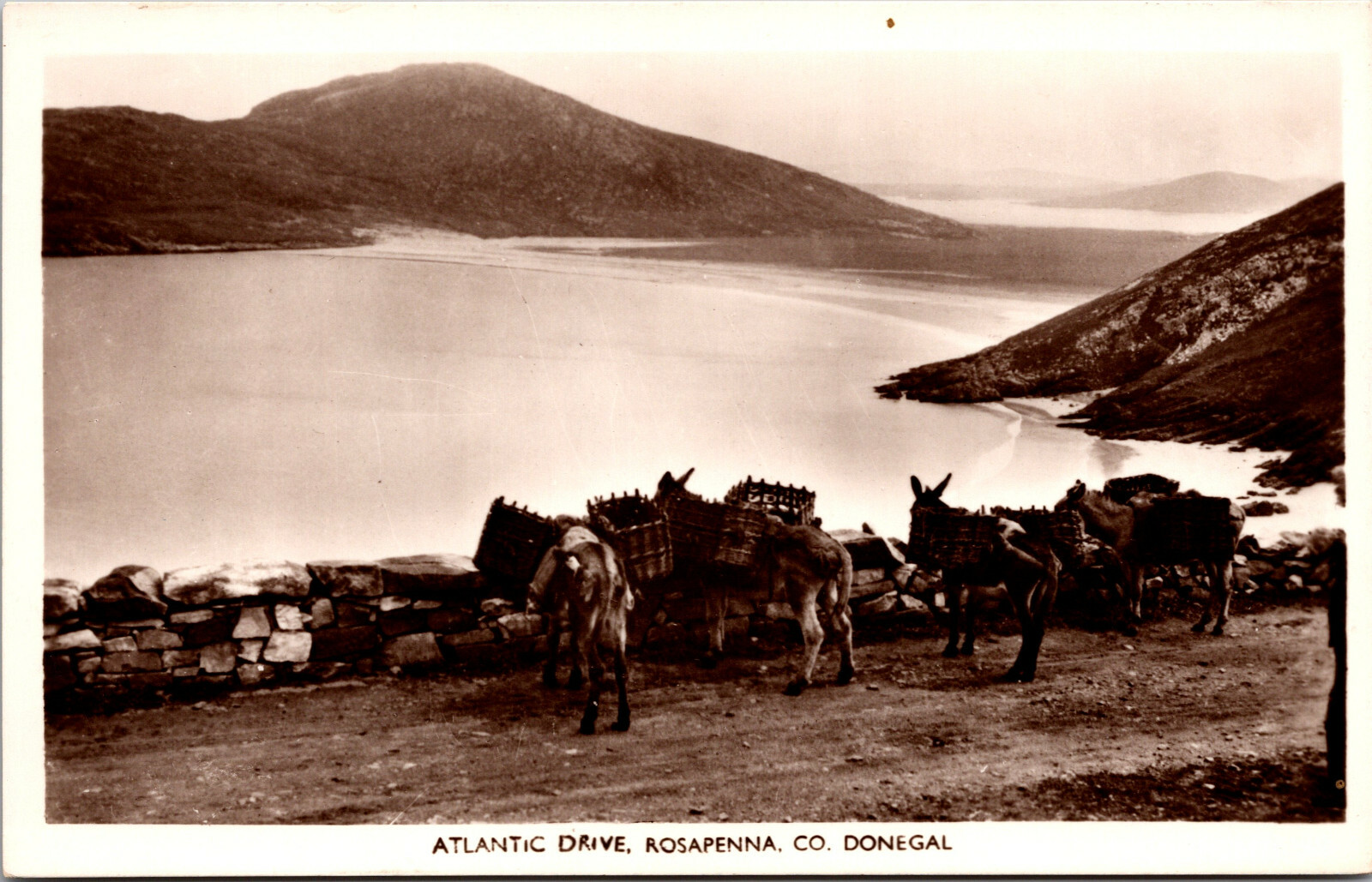 Postcard RPPC DONEGAL IRELAND, Rosapenna Co.,Atlantic Dr. c1930-40's ...