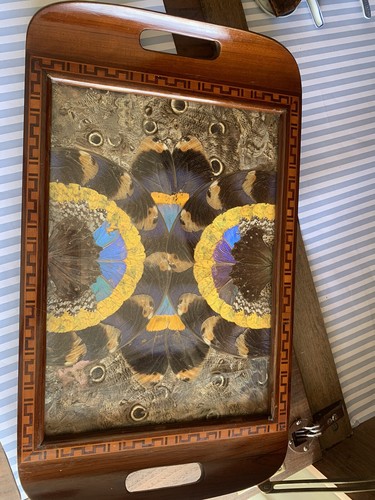 Vintage Butterfly Wing Art Serving Tray From Rio de Janeiro Brazil Circa 1940's - Picture 3 of 14