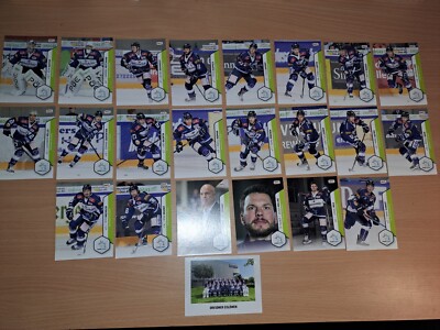 DEL2 DEL 2 16-17 2016-2017 Dresdner Eislöwen Teamset 23 Karten komplett