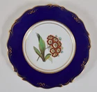 Antique English Porcelain Primrose Botanical Plate Cobalt Rim Circa 1820