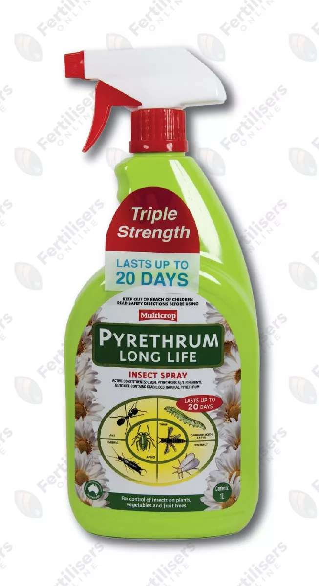 Pyrethrum spray outlet