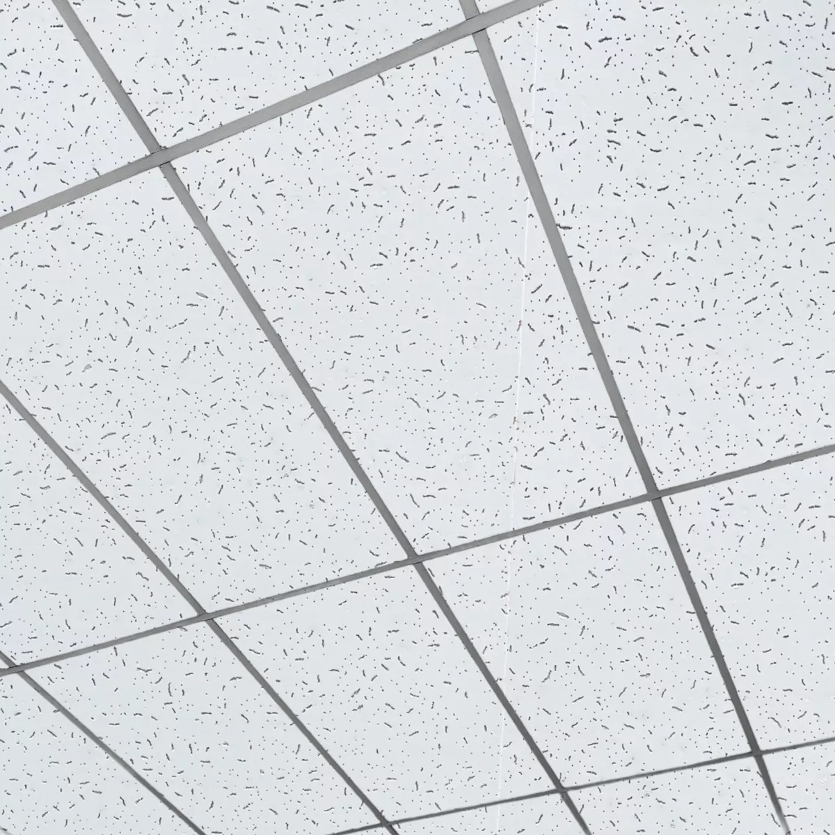 Fissured Suspended Ceiling Tiles Office