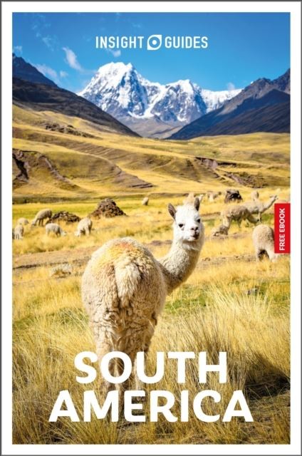 Insight Guides South America: Travel Guide with eBook by Robert Savage Paperback