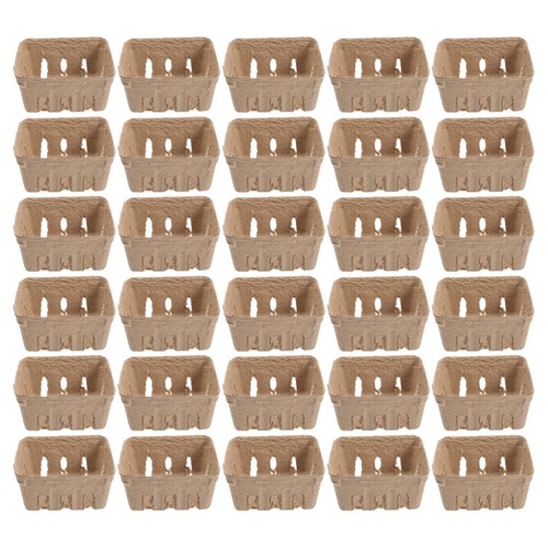 30pcs Fruit Basket Berry Storage Basket Convenient Fruit Tray Fruit Storage