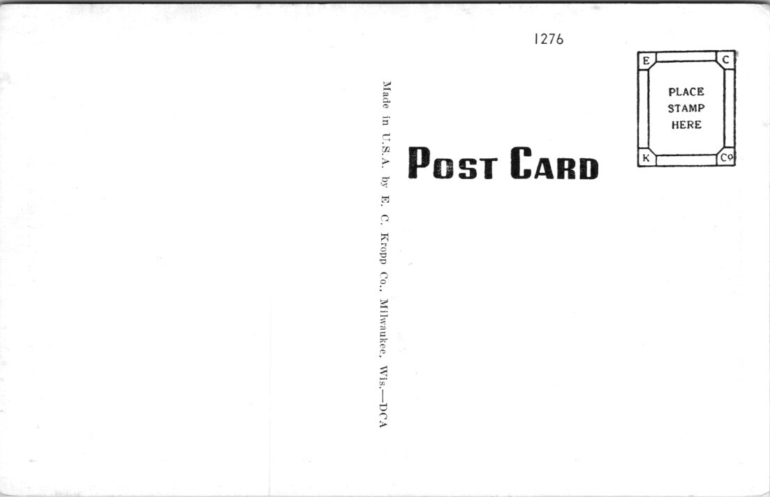 Chippewa Falls WI Bison Irvine Park WIsconsin EC Kropp Publisher postcard IQ3