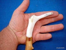 natural FALLOW DEER antler Folk Art APPLE CANE/WALKING STICK unique useful gift