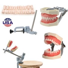 Kilgore Nissin 200Type Dental Typodont Model 28Pcs Removable Teeth Mounting Pole