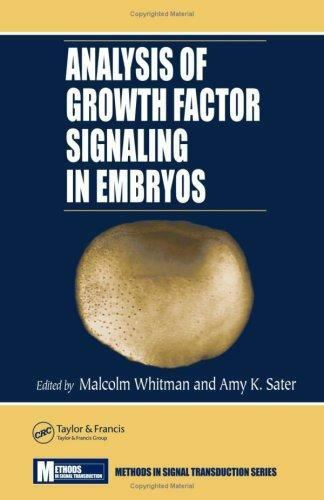 Analysis of Growth Factor Signaling in Embryos - Picture 1 of 1