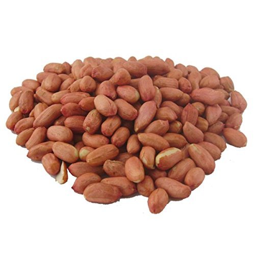 Copdock Mill Peanut Kernels Wild Bird Food Treats 25Kg - Picture 4 of 7