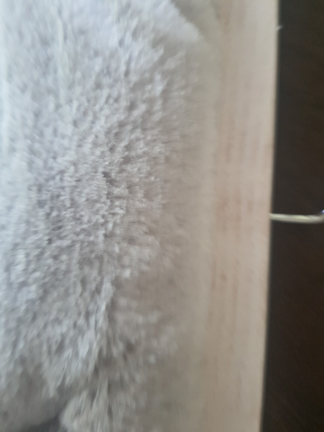 Picture 5 of 6