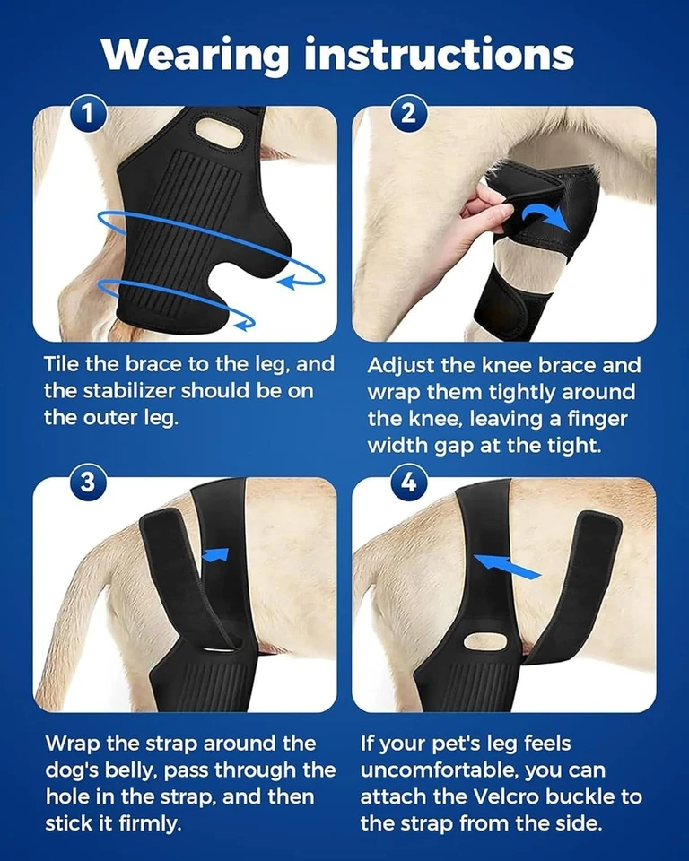 Rodillera para perros LCA/CCL ligamento desgarrado displasia de cadera artritis trasera trasera y delantera Foto 4 de 4