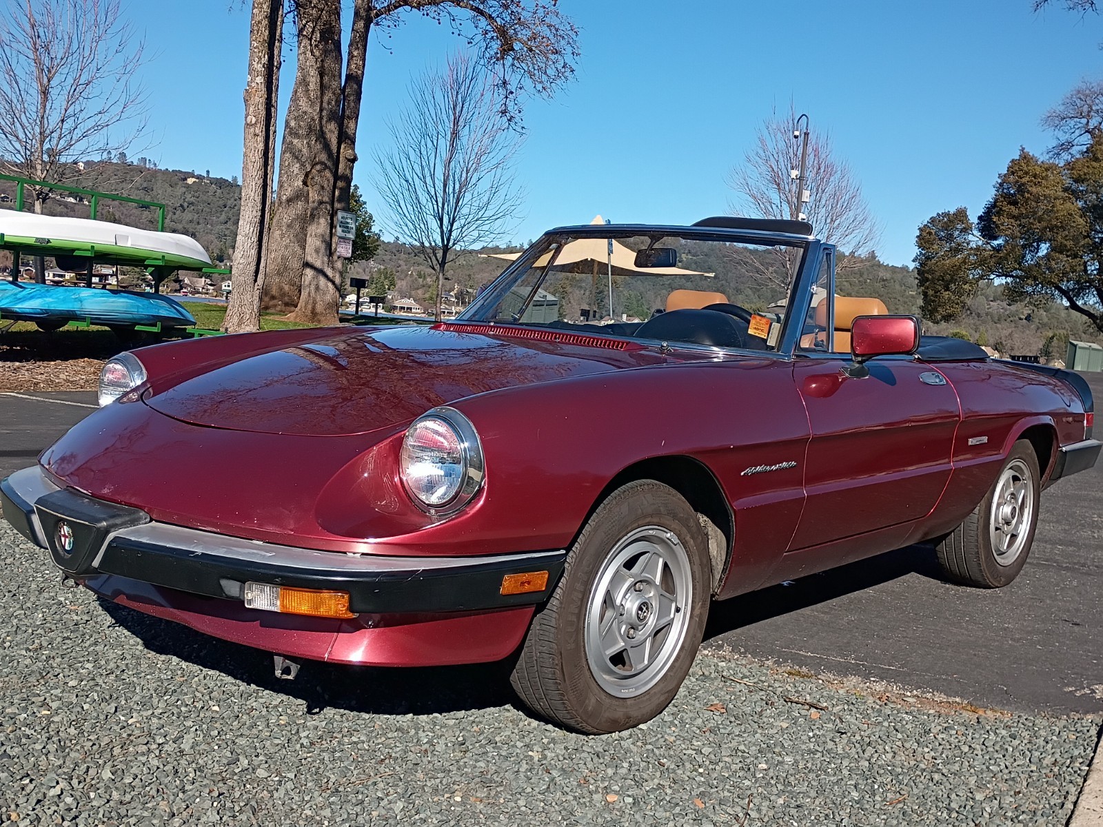 1988 Alfa Romeo Spider for sale in Penn Valley California
