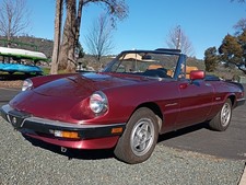 1988 Alfa Romeo Spider for Sale