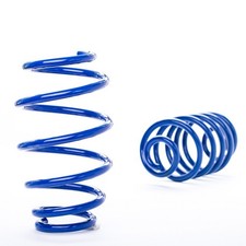 AP Tieferlegungsfedern 25970052 für PEUGEOT 206 CC 206 Schrägheck 206 SW Sportfe