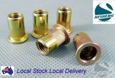 M4 M5 M6 M8 M10 Brida grande Acero galvanizado Tuerca Remache Tuerca Remache Tuerca Remache