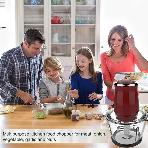 Elektrischer Fleischwolf Küchenmaschine Obst Mixer Gemüse Zerkleinerer Wurstmaschine - Bild 17 von 23