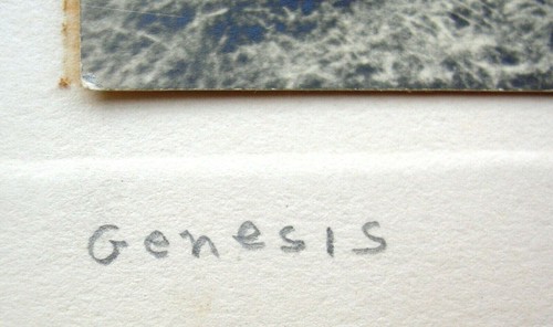 1940 foto de gabinete, firmada y titulada por Richard Homer Brown, Génesis - Imagen 4 de 5