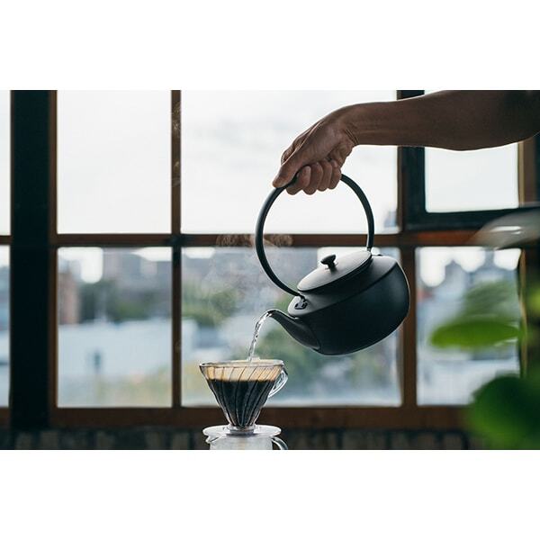 BALMUDA Electric kettle MoonKettle 0.9L Black KPT02JP-BK | eBay