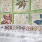 Bild 7 von 12