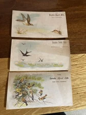 3 - Victorian Trade Card Eureka Spool Silk Birds Sewing P600