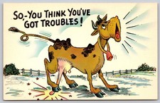 Vintage Plasticrome Comic Postcard So, You Think You've Got Troubles! C178