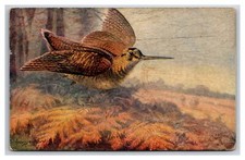 Tuck's oilette game birds woodcock ~ Series 1 UNP Nice