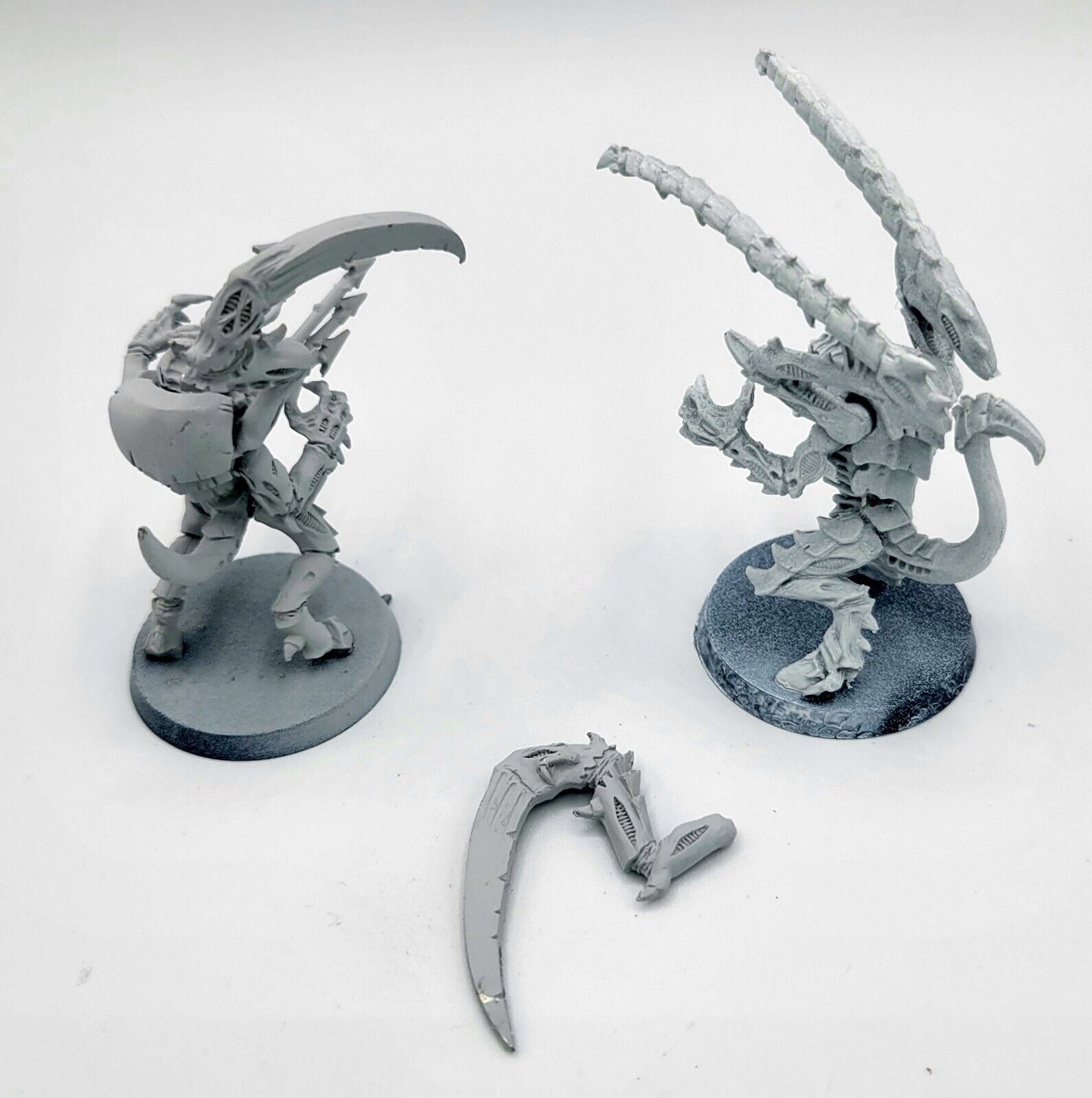 Tyranid Lictor rendelés, bolt, webáruház