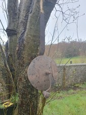 Antique Coffee Roaster Pan