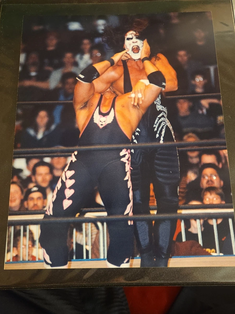 貴重！1点モノ　WWE WCW TNA　新日　スティング　コスチュームカスタム Preços baixos em Sting WWE LUTA LIVRE Fotos | eBay