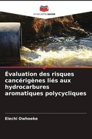 Elechi Owhoeke | ÉValuation Des Risques CancéRigèNes LiéS Aux Hydrocarbures...