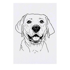 'Labrador Face' Temporary Tattoos / Transfers TO00039550