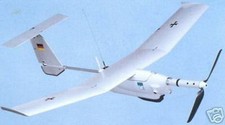 EMT Aladin UAV Airplane Desktop Kiln Wood Model Regular Free Shipping New