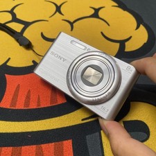 SONY Cyber Shot DSC-W730 Digital Camera 8x Zoom 16.1MP Silver English Language