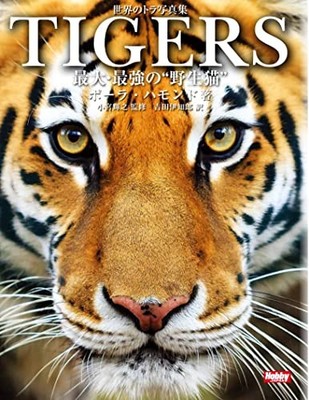 TIGERS: The World's Biggest and Strongest Wild Cat