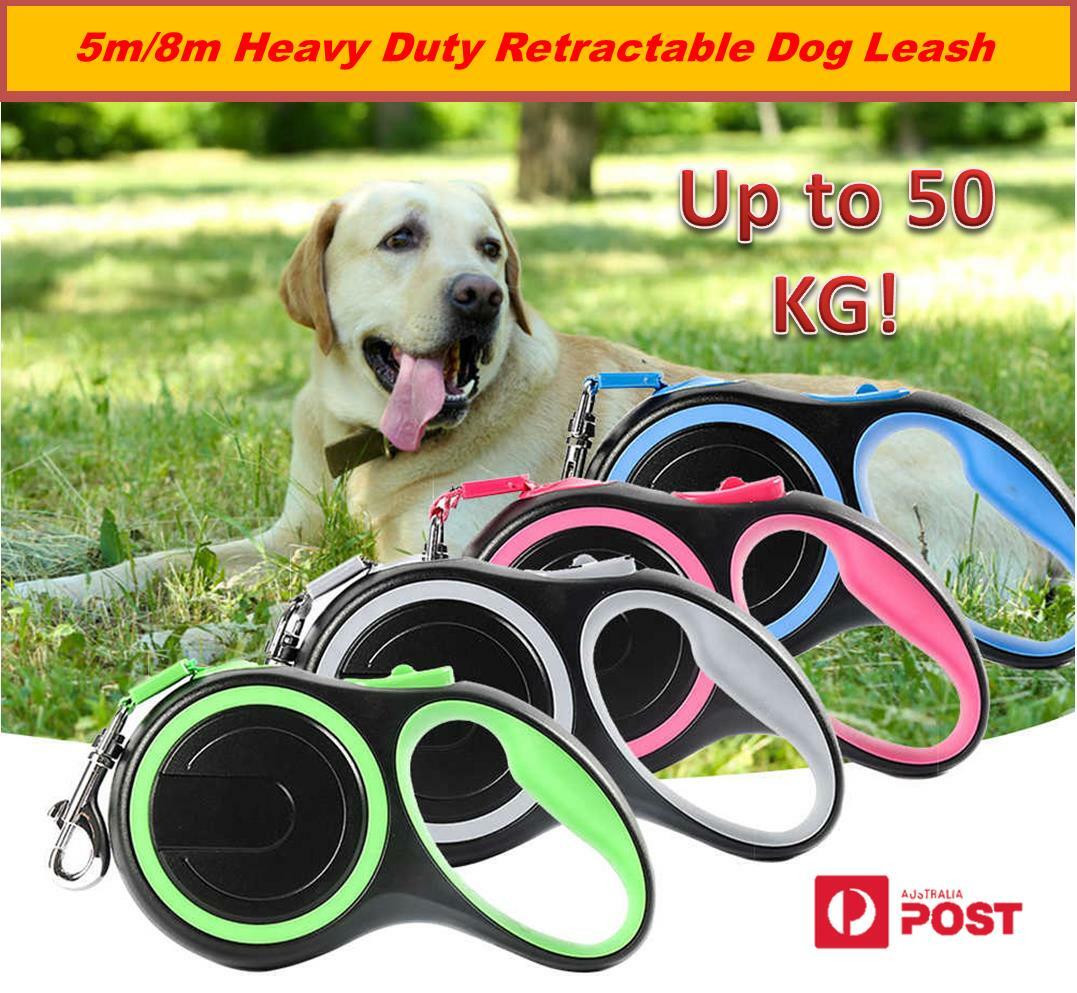 Dog Walking 30 Ft Retractable Dog Leash Retractable Dog Lead Heavy