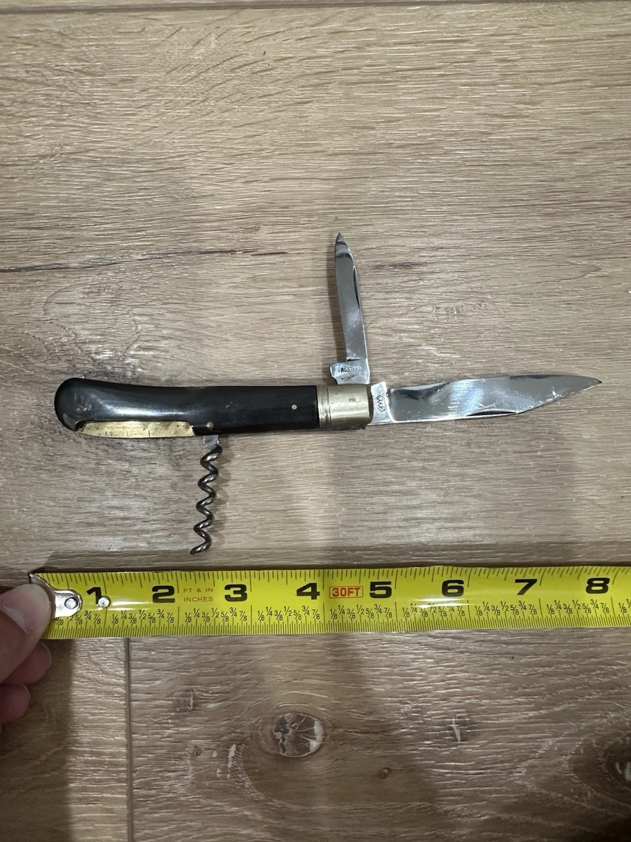 Solingen Horn Handle Pocketknife Collectible Vintage Factory